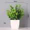 Artificial Bonsai Tree Mini Desk Plant Decor Non Fading Office Centerpiece 5