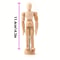 Wooden Drawing Mannequin Posable Artist Sketch Figure Model 2