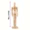 Wooden Drawing Mannequin Posable Artist Sketch Figure Model 1