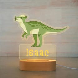 personalized name night light custom acrylic animal led lamp for kids
