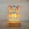 Personalized Name Night Light Custom Acrylic Animal LED Lamp For Kids 13