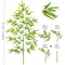 Artificial Bamboo Leaves Tall Fake Bamboo Plant Realistic Indoor Office Greenery Decor 18
