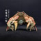 Real Crab Specimen Display Taxidermy Marine Collectible Home Decor 12