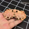 Real Crab Specimen Display Taxidermy Marine Collectible Home Decor 24