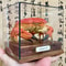 Real Crab Specimen Display Taxidermy Marine Collectible Home Decor 26