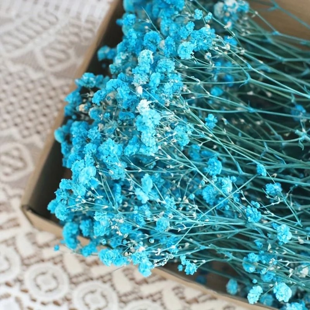 Mini Dried Baby Breath Flowers Gypsophila For Resin Crafts And Decor 3