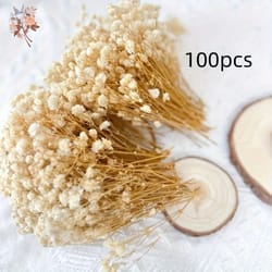 mini dried baby breath flowers gypsophila for resin crafts and decor