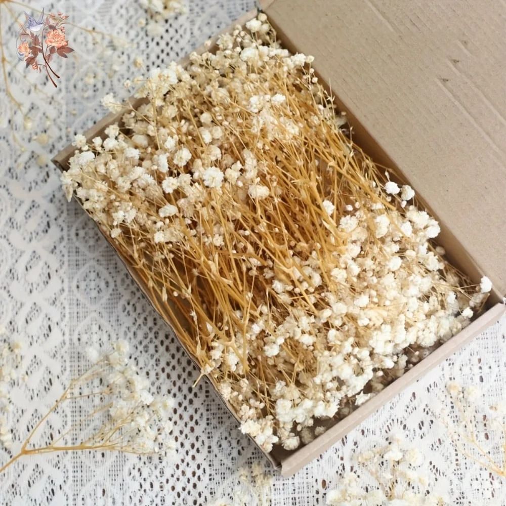 Mini Dried Baby Breath Flowers Gypsophila For Resin Crafts And Decor 9