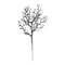 Black Artificial Dead Branches Halloween Decor Spooky Vase Filler Set 2