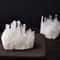 Natural White Crystal Cluster Quartz Healing Stone Home Decor 3