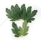 50PCS Artificial Leaves For Crafts Fake Greenery DIY Floral Decoration Set 3