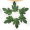 50PCS Artificial Leaves For Crafts Fake Greenery DIY Floral Decoration Set 7