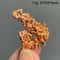 Natural Native Copper Cluster Mineral Specimen Raw Copper Stone Decor 16