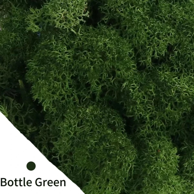 Natural Preserved Moss Decor Artificial Green Moss For Mini Garden And Wall Design 2