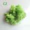 Preserved Moss Decor Artificial Moss For DIY Wall And Mini Landscape Design 15