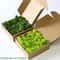 Preserved Moss Decor Artificial Moss For DIY Wall And Mini Landscape Design 25