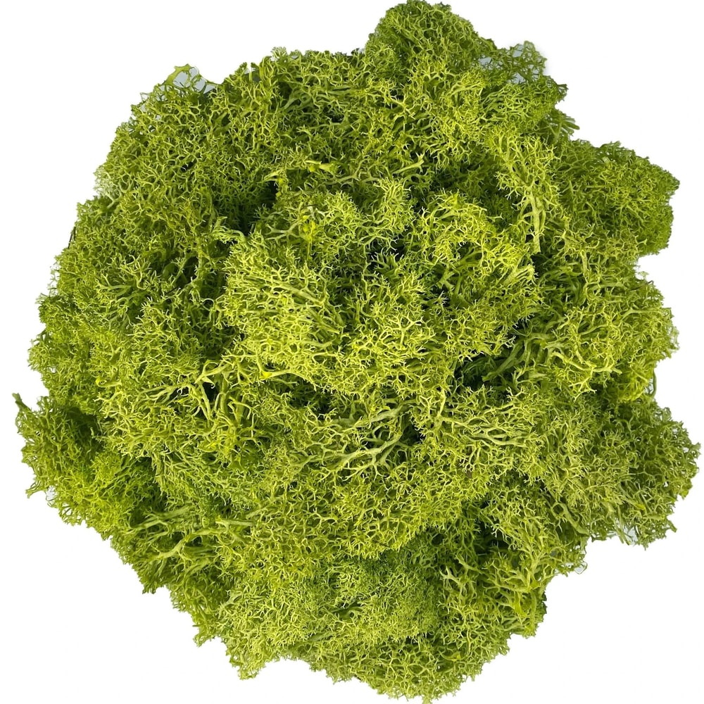 Artificial Reindeer Moss Decor Green Moss Filler For Crafts And Wall Design 9