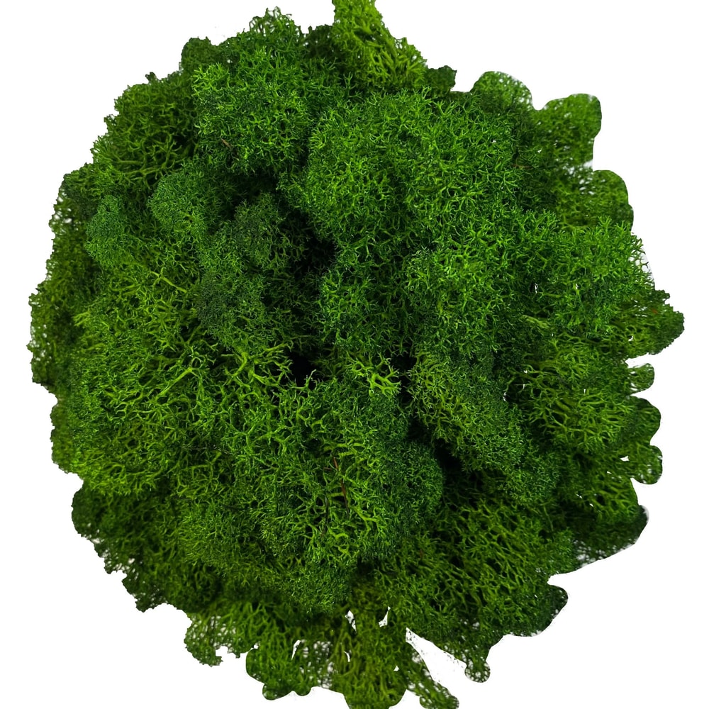 Artificial Reindeer Moss Decor Green Moss Filler For Crafts And Wall Design 17