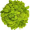 Artificial Reindeer Moss Decor Green Moss Filler For Crafts And Wall Design 11