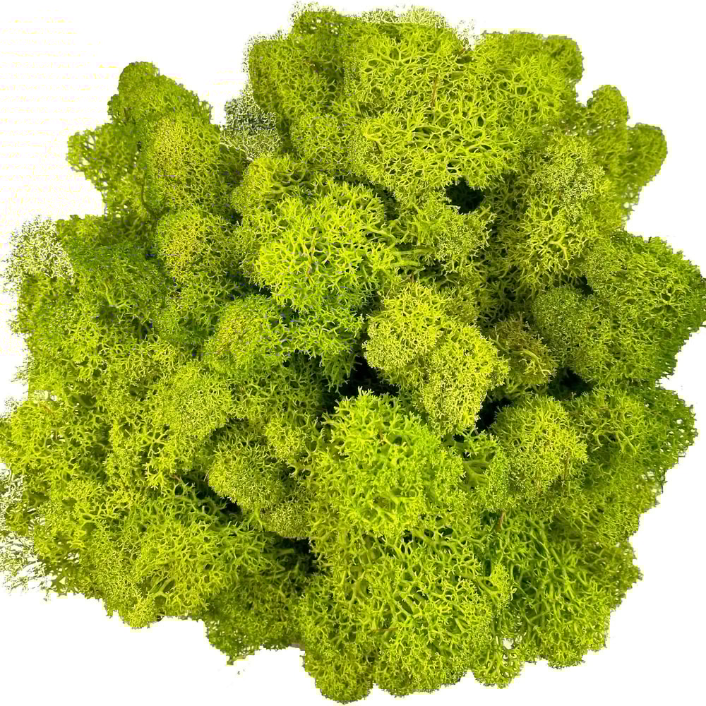 Artificial Reindeer Moss Decor Green Moss Filler For Crafts And Wall Design 4