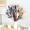 Blue Rabbit Tail Pampas Grass Dried Flower Bouquet Fluffy Decorative Stems 5