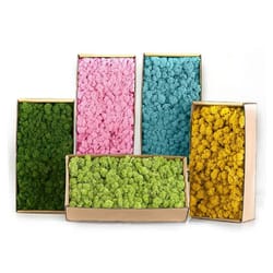 artificial moss grass mini landscape decor for diy crafts and home styling