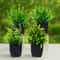 Artificial Bonsai Plant Set Small Potted Greenery For Tabletop Decor 10