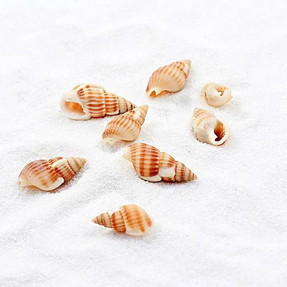 Decorative White Sand For Miniature Landscape Aquarium And DIY Garden Decor 2