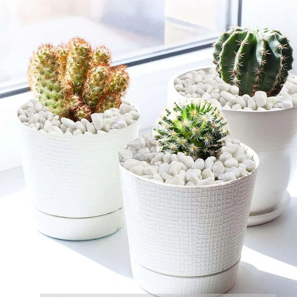 Decorative Pebbles Stones For Succulents Aquarium Vase And Garden Decor 4