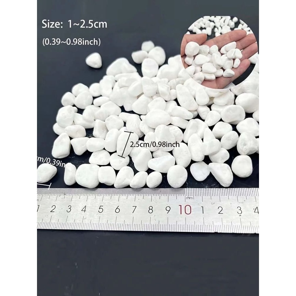 Decorative Pebbles Stones For Succulents Aquarium Vase And Garden Decor 6