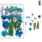Natural Dried Flowers For Resin Jewelry Nail Art And Craft Decoration 5