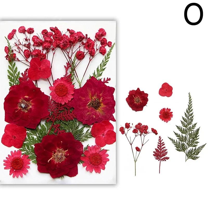 Natural Dried Flowers For Resin Jewelry Nail Art And Craft Decoration 15