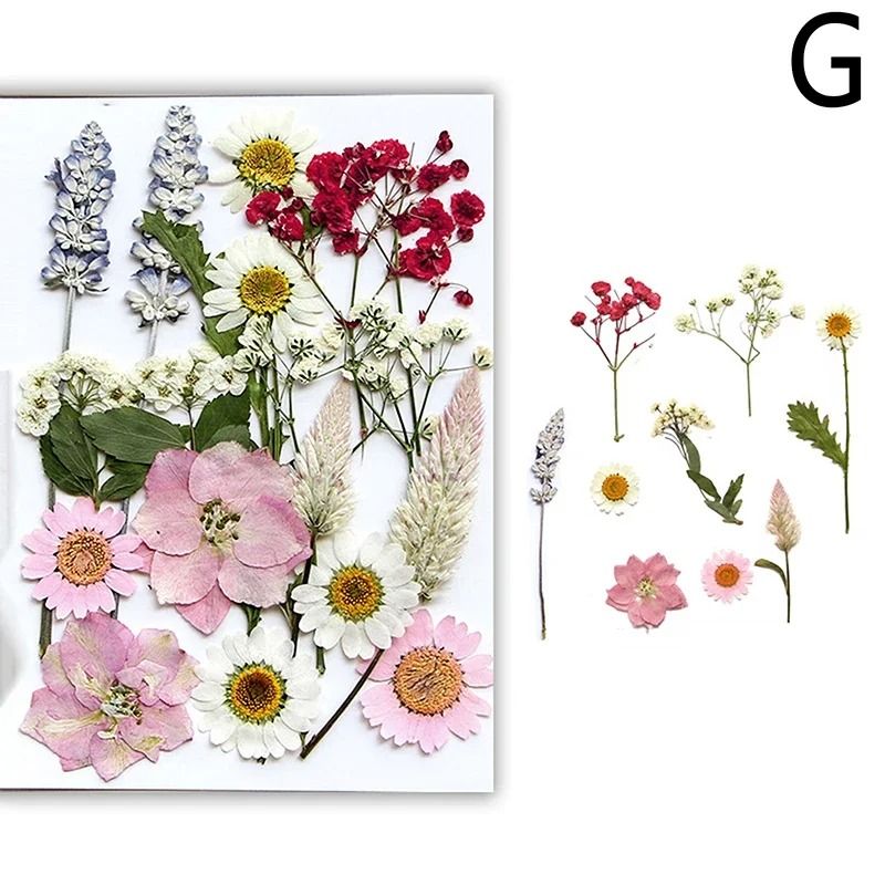 Natural Dried Flowers For Resin Jewelry Nail Art And Craft Decoration 7