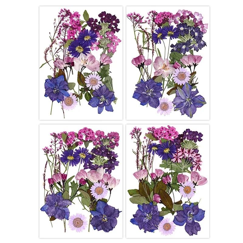 Natural Dried Flowers For Resin Jewelry Nail Art And Craft Decoration 21