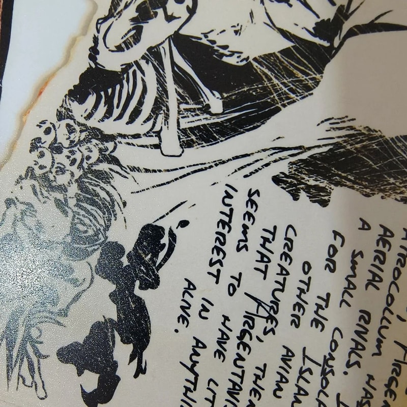 Custom Photo Poster Personalized Wall Art Print On Satin Photo Paper 2