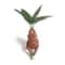 Mandrake Resin Garden Statue Fantasy Plant Figurine Outdoor And Home Decor 3
