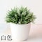 Artificial Bonsai Plant Small Potted Green Tree Decor For Home And Office 4