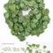 Artificial Ivy Leaf Garland Hanging Vine Green Wall Decor For Home 5