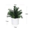 Artificial Potted Plant Mini Bonsai Tree Home Decor Accent 3