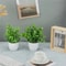Mini Artificial Potted Plants Set Fake Bonsai Decor For Home Office 0