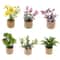 Dollhouse Miniature Potted Plants Micro Garden Decor Accessories 7