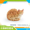 Cute Orange Cat Figurine Mini Animal Desk Decoration Ornament 2