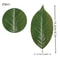 Artificial Magnolia Leaves Set Floral Arrangement DIY Greenery Decor 1