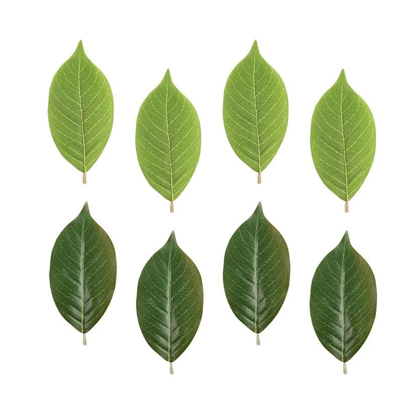 Artificial Magnolia Leaves Set Floral Arrangement DIY Greenery Decor 0