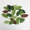 Artificial Magnolia Leaves Set Floral Arrangement DIY Greenery Decor 7