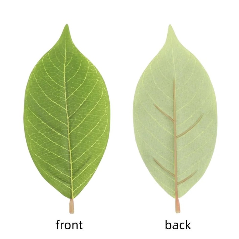 Artificial Magnolia Leaves Set Floral Arrangement DIY Greenery Decor 6