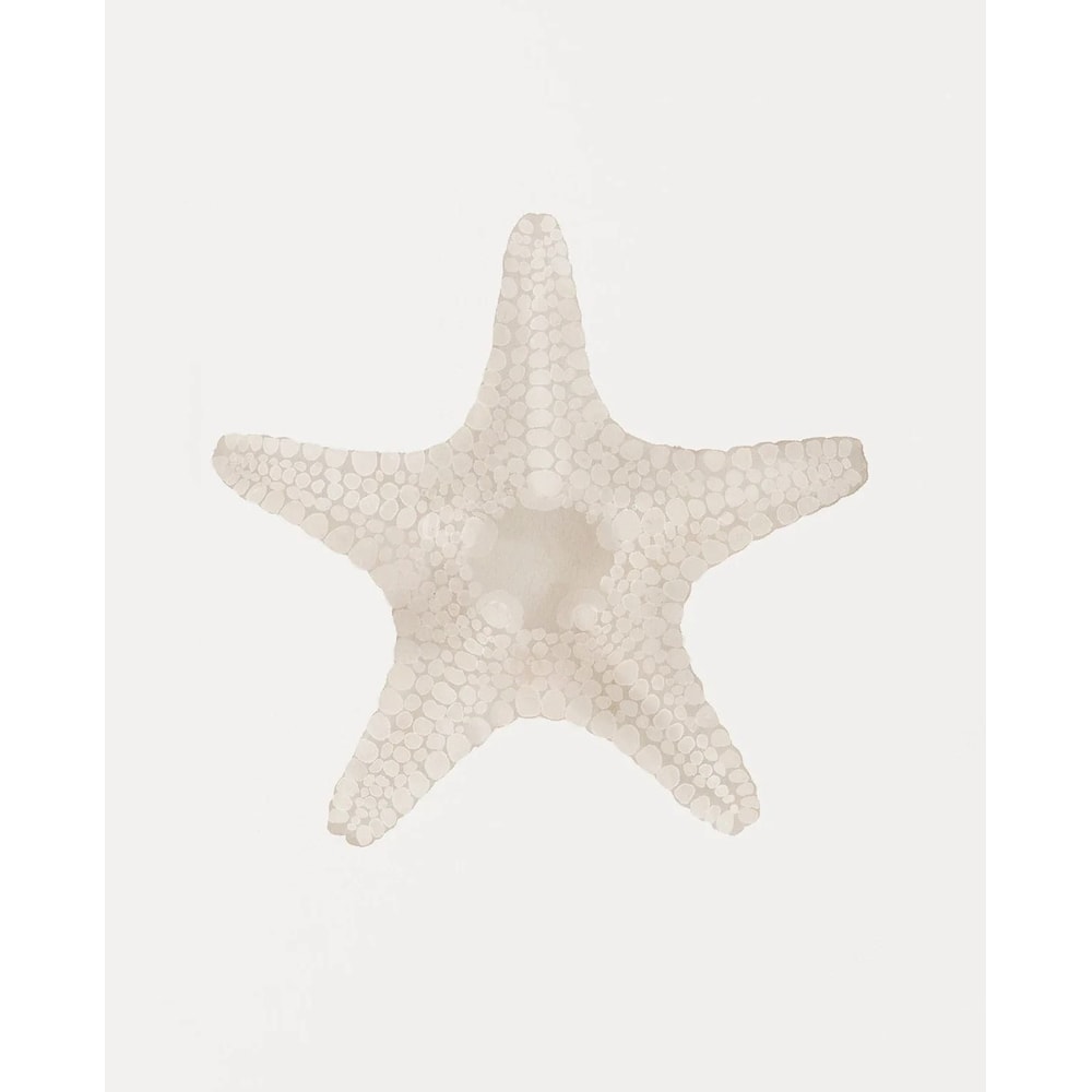 Coastal Wall Art Sea Shell Prints Starfish Canvas Art Beach Themed Decor Set 1