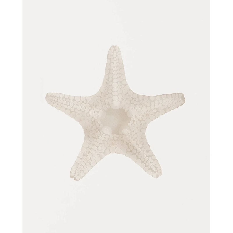Coastal Wall Art Sea Shell Prints Starfish Canvas Art Beach Themed Decor Set 1