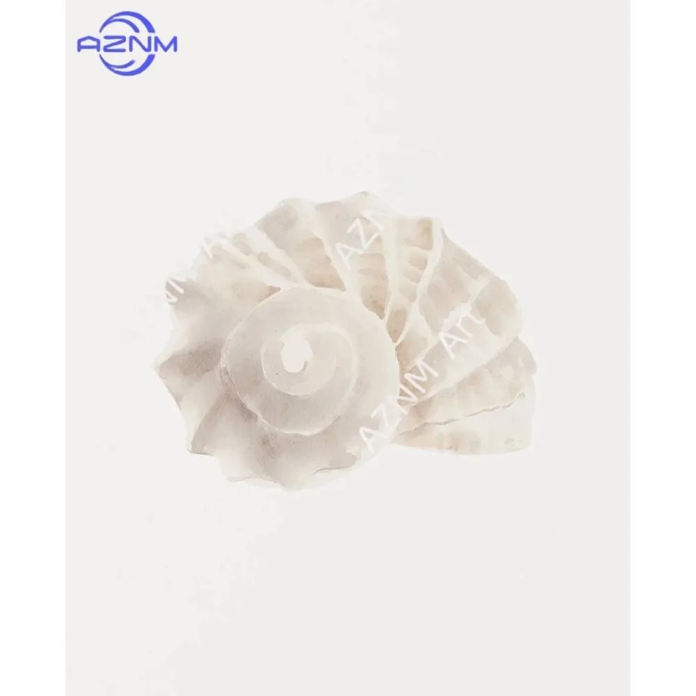 Coastal Wall Art Sea Shell Prints Starfish Canvas Art Beach Themed Decor Set 9