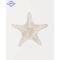 Coastal Wall Art Sea Shell Prints Starfish Canvas Art Beach Themed Decor Set 10